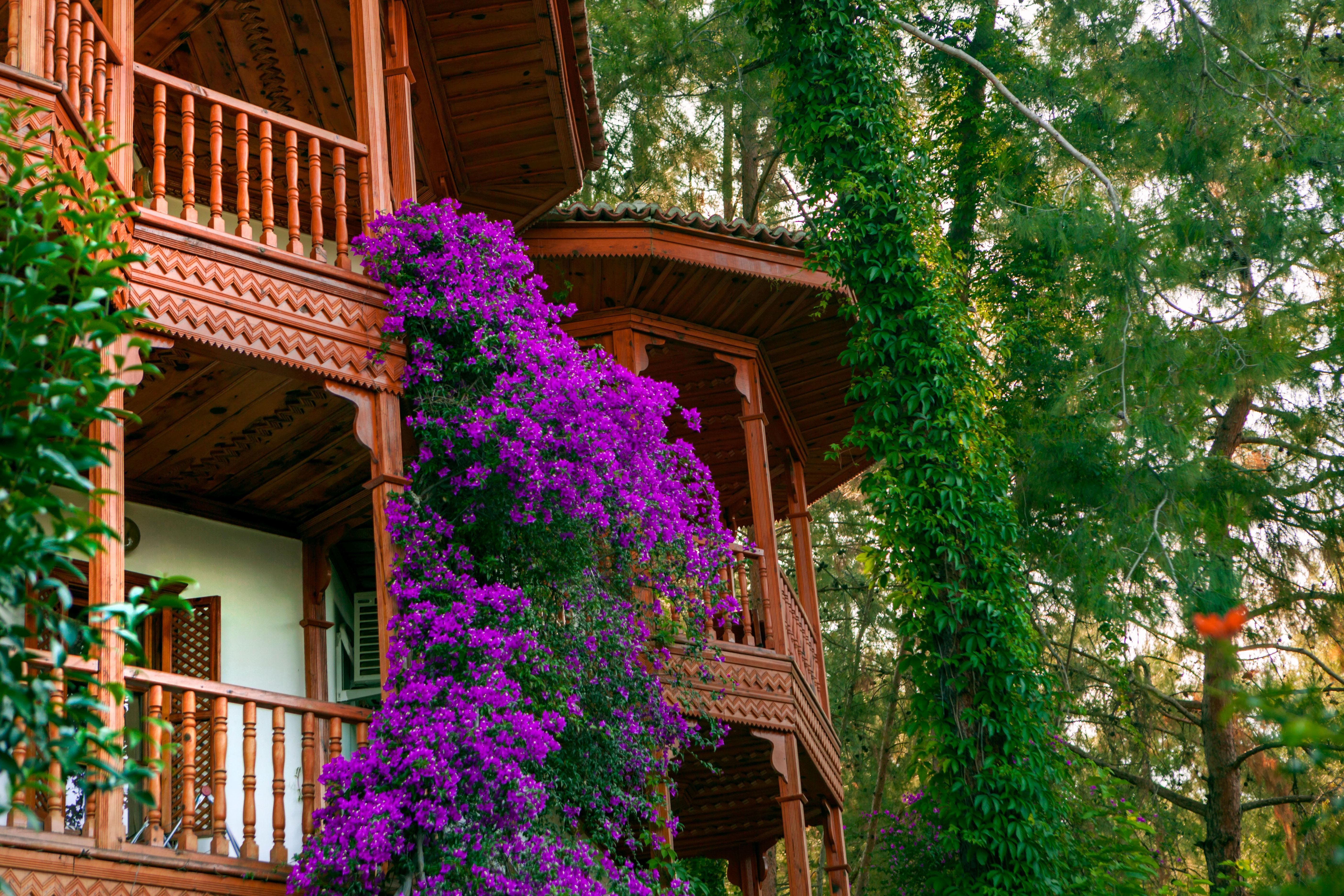 Club & Hotel Letoonia Φετιγιέ Εξωτερικό φωτογραφία